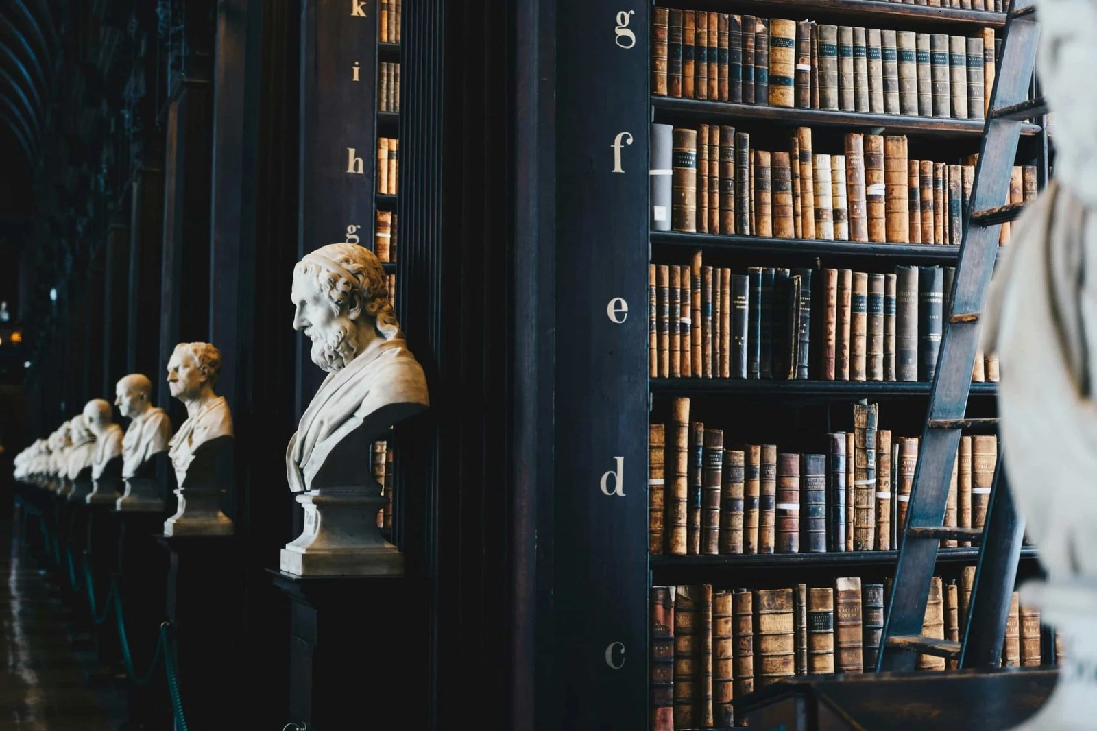A classical library with busts and leather-bound volumes, representing the Hyde Legacy Exclusive Library
